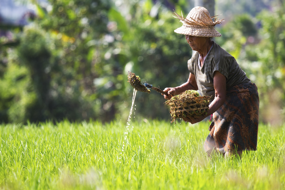 7. Platz Stefan Klughammer